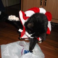 Buffalo Traffic Jam's Hanging on Hope: A Deep Dive into Resilience